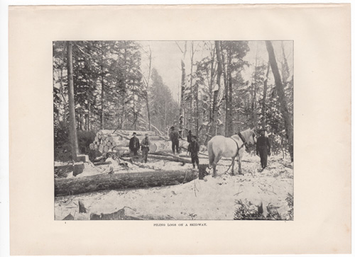 Piling logs on a skidway